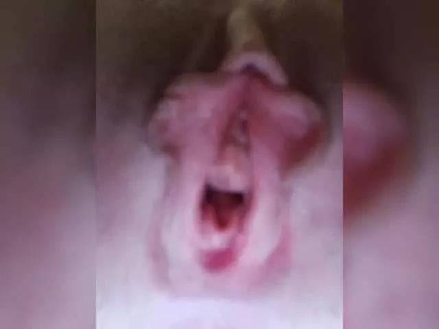 Foxcubtomi