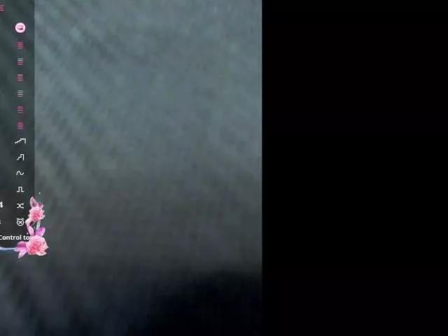 LittleSammy on BongaCams