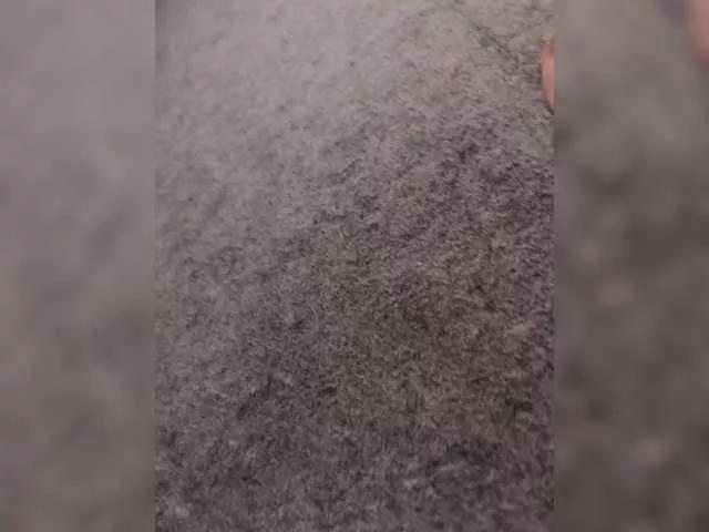 Freechat Sexy6969 on BongaCams
