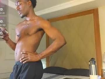 janstallion