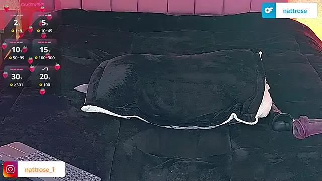 NATTROSE on StripChat 