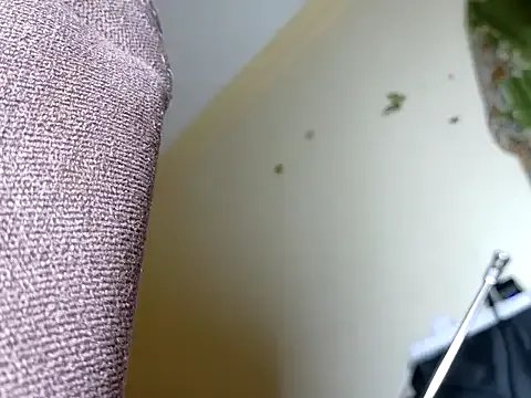 Jacky_queen on StripChat