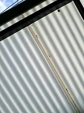 Pau_2007 — naked+ sexy dance