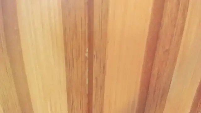 Taylor__cooper on StripChat